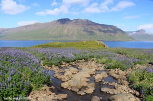 Skalanes Naturpark, Seydisfjördur, Island